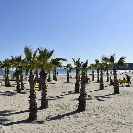 Lovely Near The Port Of