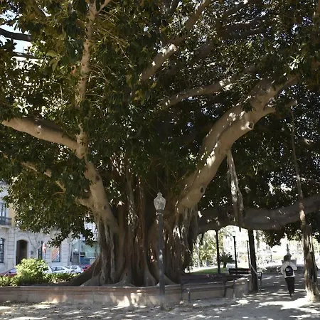 Lovely Near The Port Of Apartment *